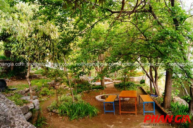 Bộ bàn ghế cam đặt dưới tán cây trong sân vườn cạnh hồ cá nhỏ