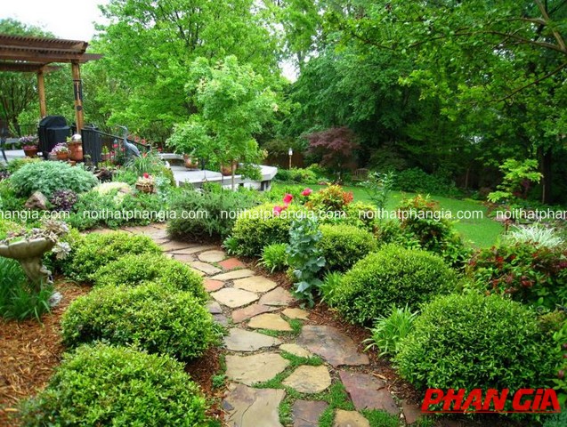 Lối đi lát đá uốn lượn giữa sân vườn xanh, hai bên là bụi cây tỉa gọn